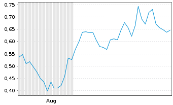 Chart Mini Future Long Chevron - 6 Months