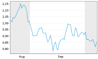 Chart Mini Future Short Chevron - 6 Monate