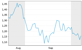 Chart Mini Future Short Chevron - 6 Monate