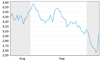 Chart Mini Future Short Caterpillar - 6 Monate