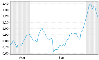 Chart Mini Future Long PVA TePla - 6 Months