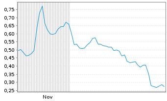 Chart Robo.ai Inc. - 6 Monate