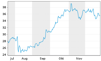Chart CADRE HOLDINGS INC. Registered Shares DL -,0001 - 6 Monate