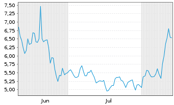 Chart RUM Group Inc. - 6 Monate