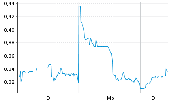 Chart Excellon Resources Inc. - 1 Woche