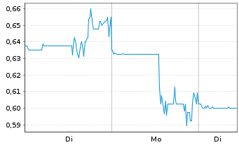 Chart TDG Gold Corp. - 1 Woche