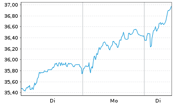 Chart Bayer AG - 1 Woche