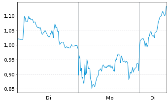 Chart Mini Future Long RENK - 1 Woche