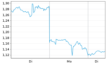 Chart Mini Future Long Palantir - 1 Woche