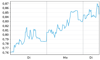 Chart Mini Future Long PVA TePla - 1 Woche