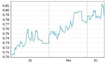 Chart Mini Future Long PVA TePla - 1 Woche