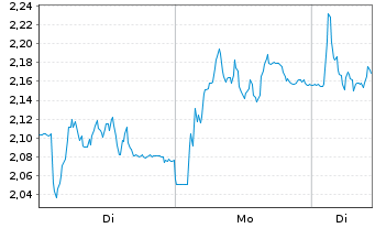 Chart Mini Future Long Salzgitter - 1 Woche