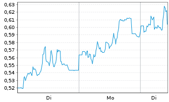 Chart Mini Future Long PVA TePla - 1 Woche