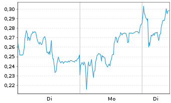 Chart Mini Future Long Puma - 1 Woche