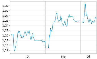 Chart Mini Future Long Salzgitter - 1 Woche