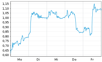 Chart Mini Future Long Salzgitter - 1 Woche