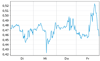 Chart Mini Future Long Nike - 1 Week