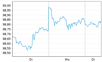 Chart Amu.S&P 500 CL.N.Z.AMB.P USD - 1 Woche