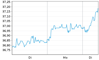Chart Amu.Idx Sol.Amu.DIVDAX - 1 Woche