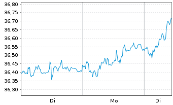 Chart Amu.Idx Sol.Amu.F.A.Z.100 - 1 Woche