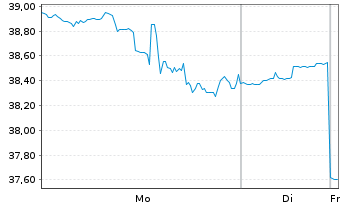Chart Yeti Holdings Inc. - 1 Week